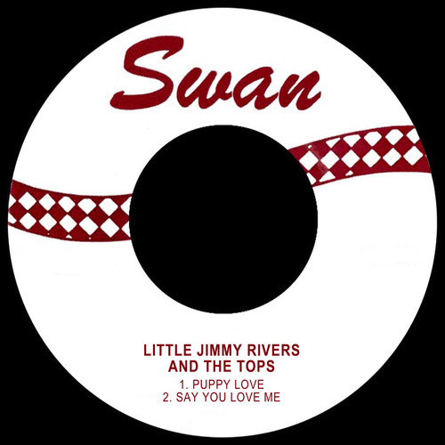 Puppy Love / Say You Love Me