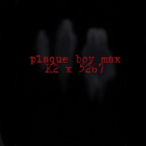 Plaque boy max (feat. 5267Rio) [Explicit]