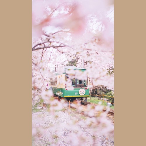 不要再转发微博了你是不可能中奖的