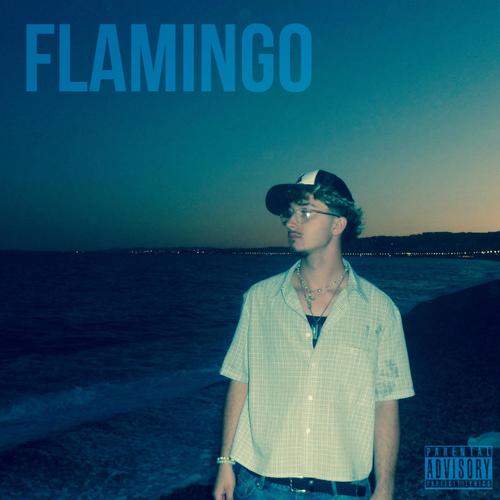 FLAMINGO (Explicit)