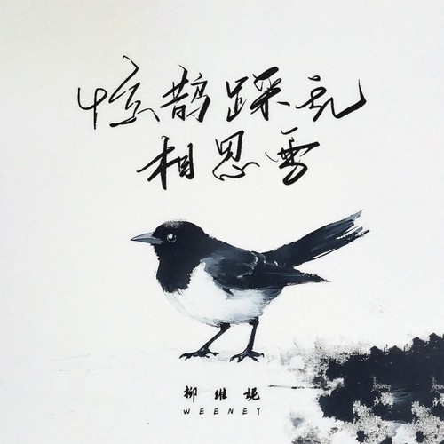 惊鹊踩乱相思雪