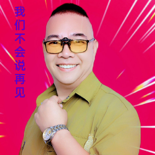 我们不会说再见专辑