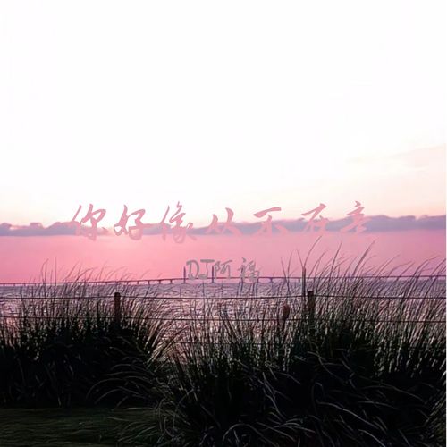 你好像从不在意