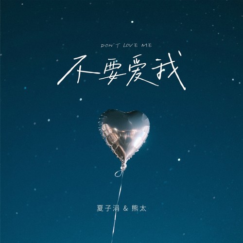 不要爱我