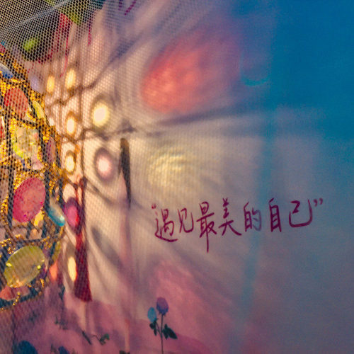 世界在美的风景也不及你