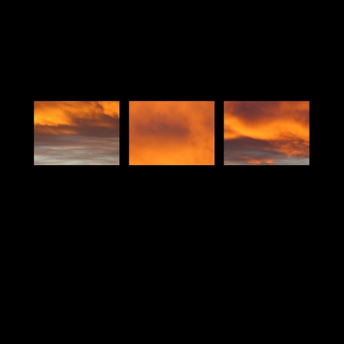 The Suncrows Fall And Tree