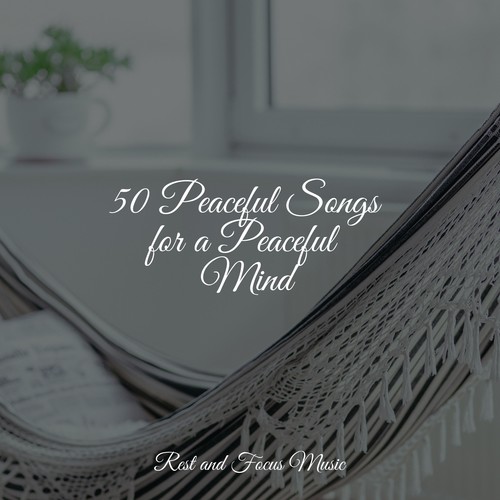 50 Peaceful Songs for a Peaceful Mind