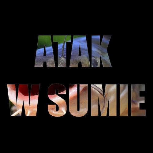 Atak w Sumie (Explicit)