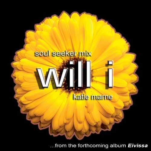 Will I (soul Seeker Mix)