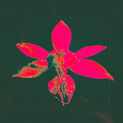 Sweet Pea...Sunflower (Explicit)