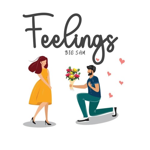 Feelings