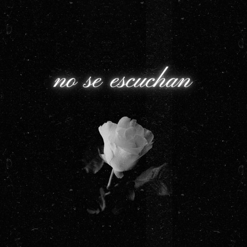 NO SE ESCUCHAN