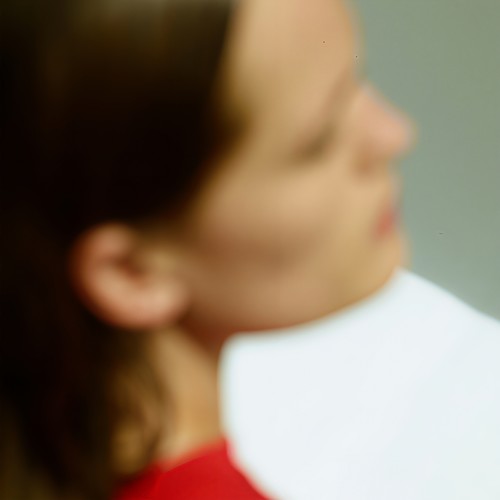 Don't You (The Autoharp Demos)