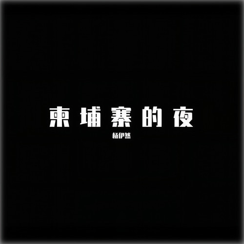 柬埔寨的夜