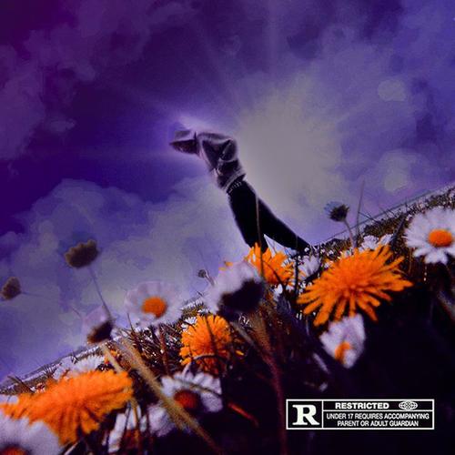 XSALVARMI (Explicit)