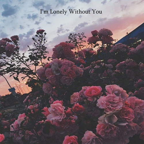 I'm Lonely Without You