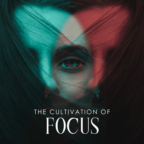 The Cultivation of Focus: Mindfulness Meditation Practice