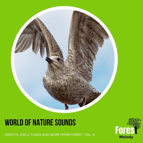 World of Nature Sounds - Insects, Owls, Toads and More from Forest, Vol. 9