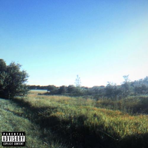 THIS LIFE (feat. Skreigh) [Explicit]