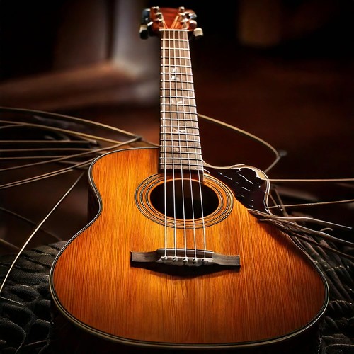 Strings of Harmony: Guitar Music Unplugged