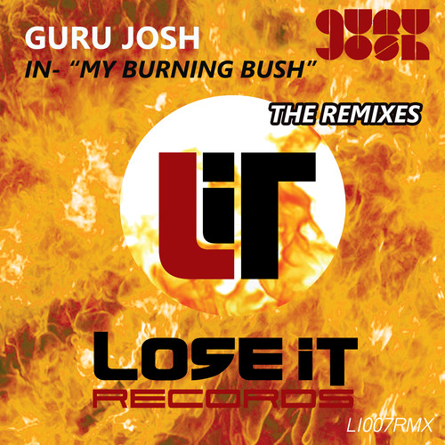 My Burning Bush (The Remixes) [Explicit]