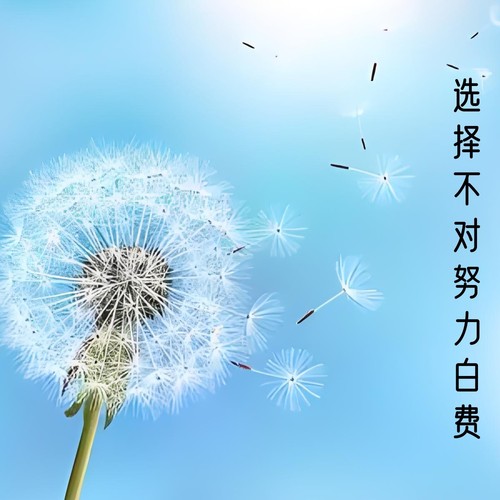 选择不对努力白费