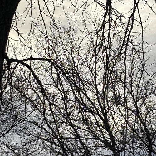 Monsters (feat. Mari)