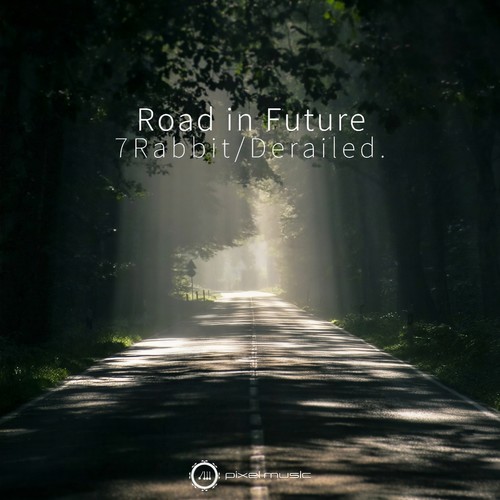 Road In Future