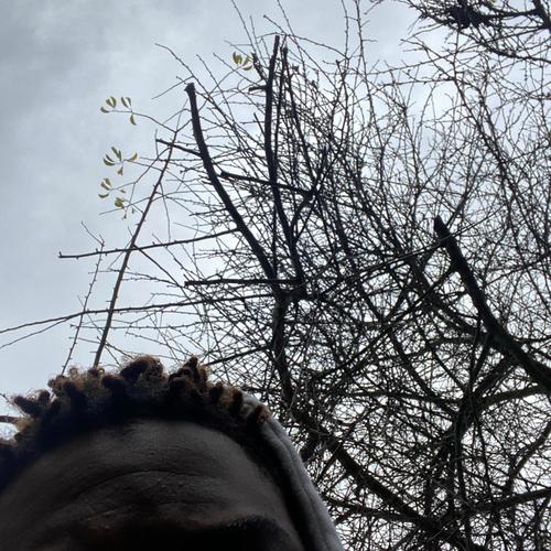 Discomfort (Explicit)