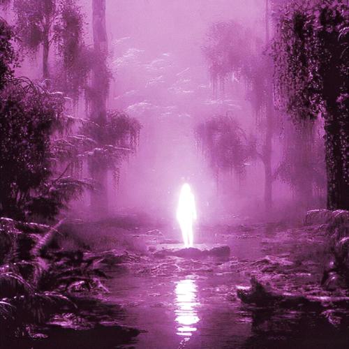 step back (Explicit)