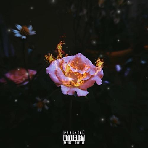 Love Lessons (Explicit)