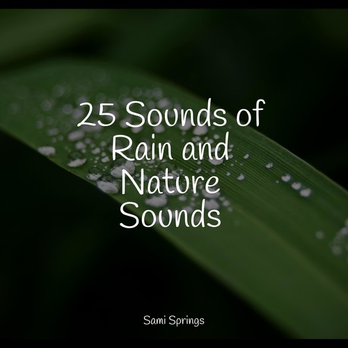 25 Sounds of Rain and Nature Sounds