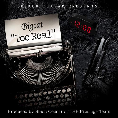 Too Real (feat. Big Cat) [Explicit]