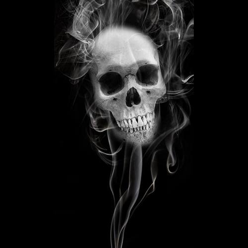 Trap Beat【Not Free】