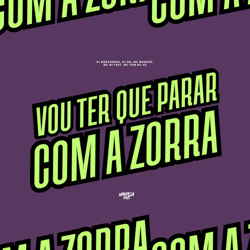 Vou Ter Que Parar Com a Zorra (feat. MC Tom da VG) [Explicit]