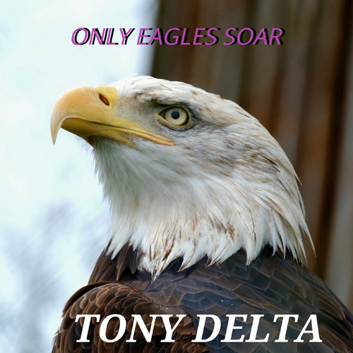 Only Eagles Soar