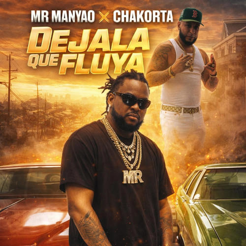 Dejala Que Fluya (feat. Mr Manyao)