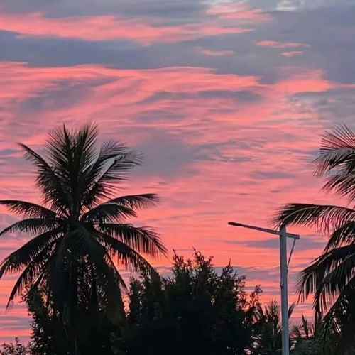 打火机 (氛围版​)