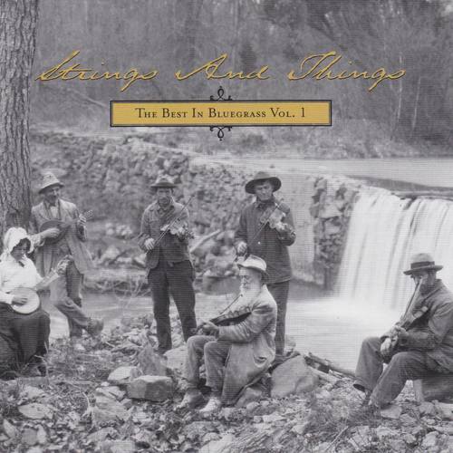 Strings and Strings-The best in bluegrass-vol. 1