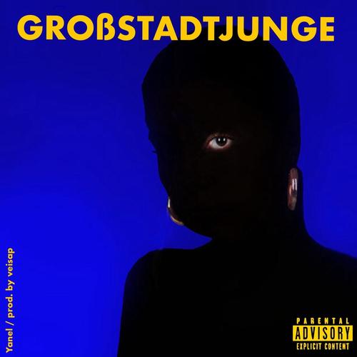 Großstadtjunge (feat. veisap) [Explicit]