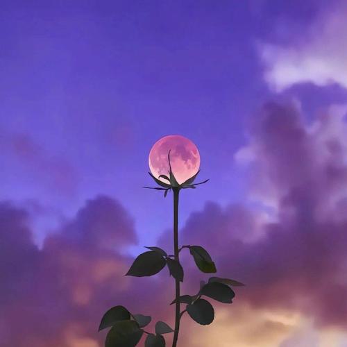 Ngày Mai Anh Sẽ Nói