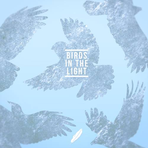 Birds In The Light