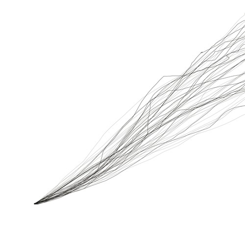 Introducing the Fall