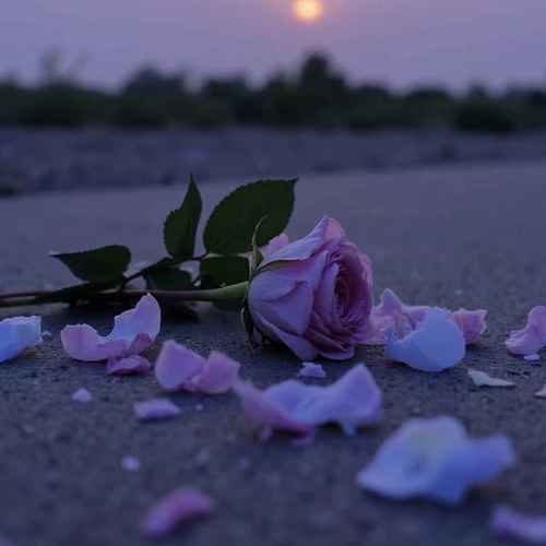 如果再遇到爱的人（记着去拉着他的手）