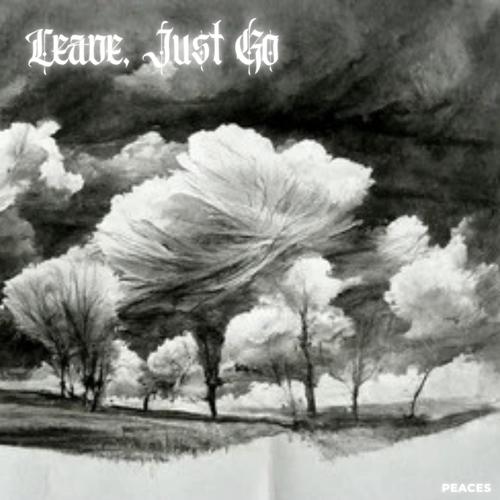 Leave, Just Go
