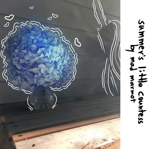 Summer's Little Countess