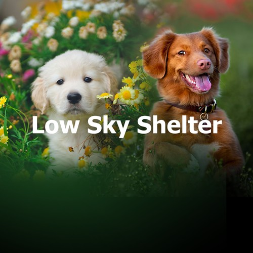 Low Sky Shelter