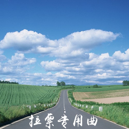 拉票专用曲