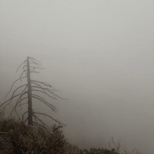 Searching (feat. Sarah Wallin)