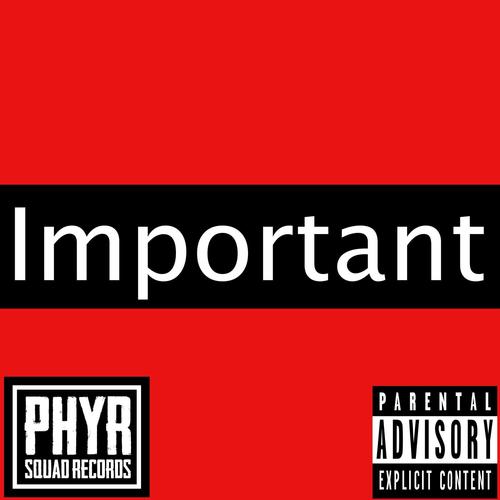 Important (feat. Shon Thrilla) [Explicit]